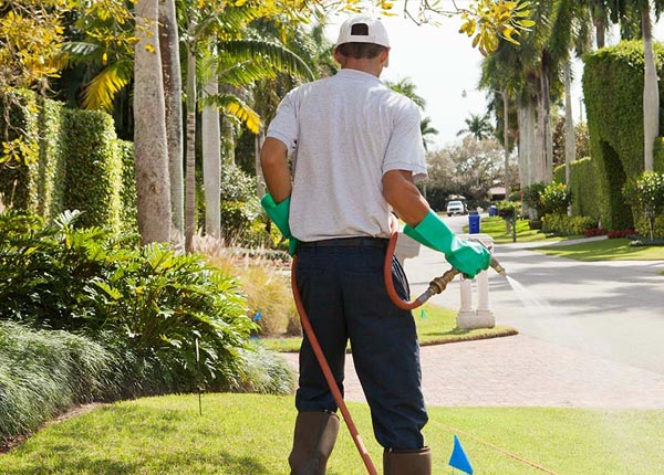 About Cascade VA Pest Control